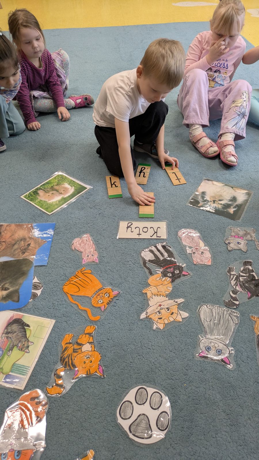 Read more about the article Dzień Kota – Niezapominajki – 17.02.2026