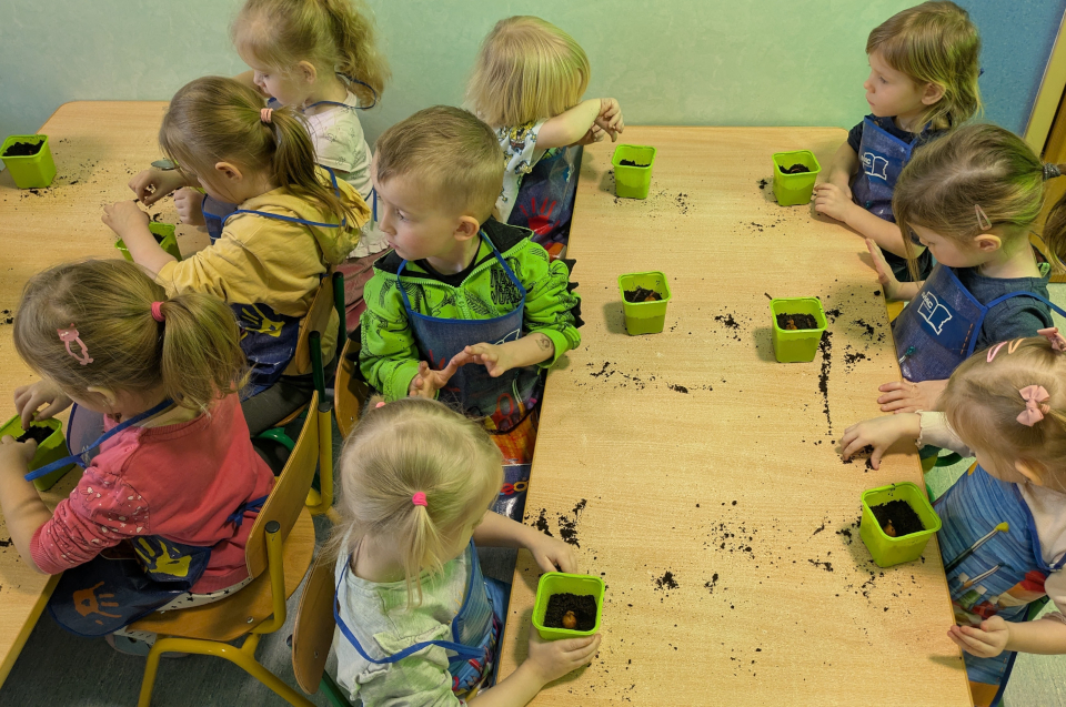 dzieci siedzą przy stolikach. Każde ma doniczkę do której wsypuje ziemię. W doniczce jest cebulka