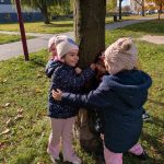 dzieci mierzą grubość drzewa